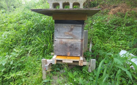 日本蜜蜂百花蜜 はちみつ (200g×1個) ・ 石けん (100g×2個)