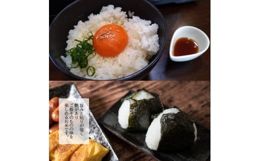 【令和7年産】無洗米 長崎 こしひかり 900g