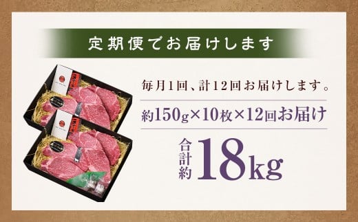 【全12回定期便】長崎和牛 ヒレ ステーキ 約150g×10枚