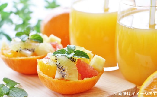 清見 オレンジ 約5kg