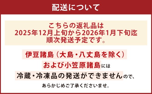長崎県産 大村湾 活ナマコ 約1kg