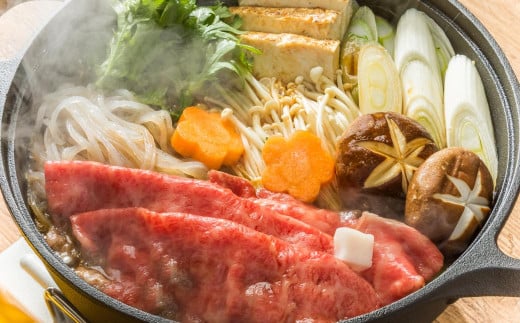 【全2回定期便】長崎和牛 出島ばらいろ レギュラータイプ J