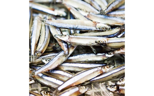 一夜干しざんまいセット