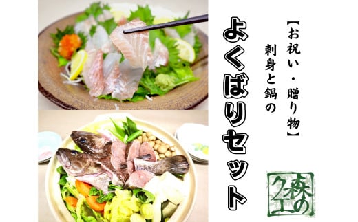 長崎の森で育てた『幻のクエ』 【セット】刺身用 5～6人前、鍋用 5～6人前（1kg～2kg前後×2）／ 計2kg～4kg前後 海鮮 魚介 高級魚 刺身 鍋 セット クエ 養殖 長崎県 長崎市