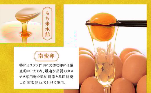 【全6回定期便】特撰カステラ1号