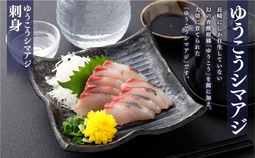 【premiumfishbrand】ゆうこうシマアジ、ゆうこう真鯛