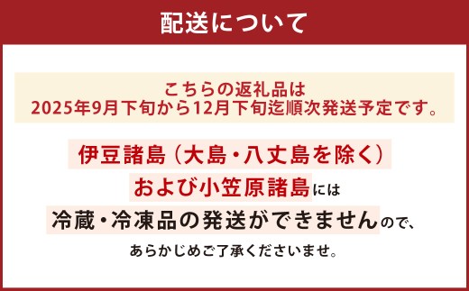 長崎漁港発！長崎近海産旬の鮮魚セット（大）