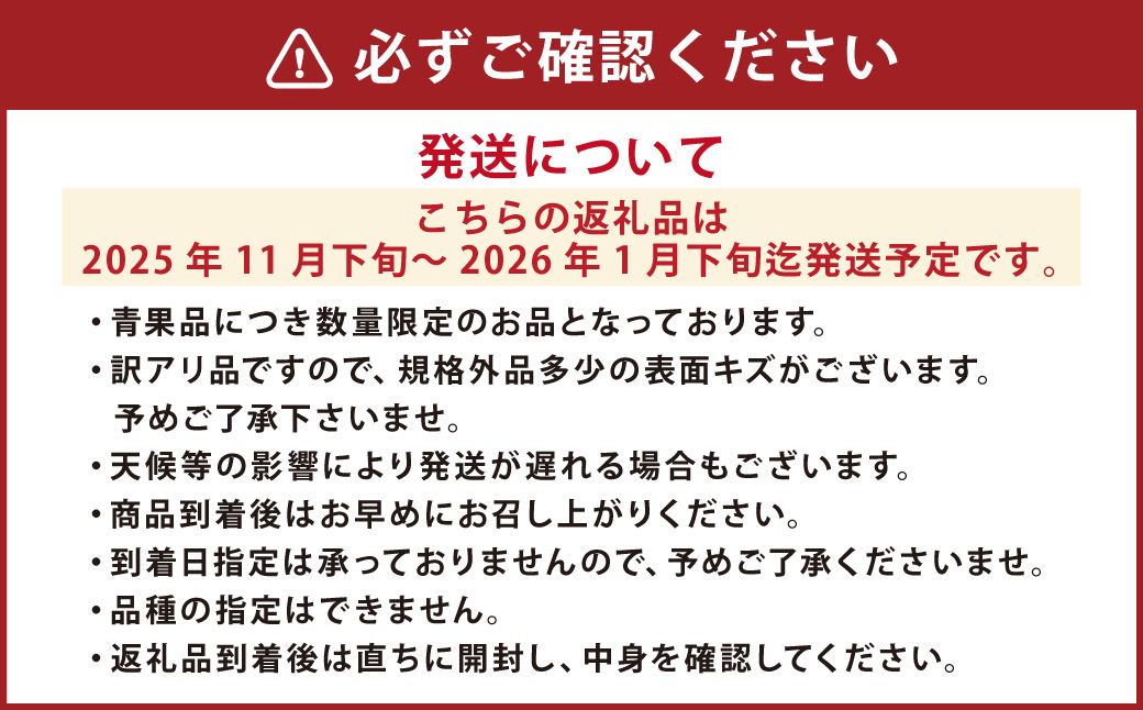 長崎県産 訳あり 伊木力系温州みかん10kg