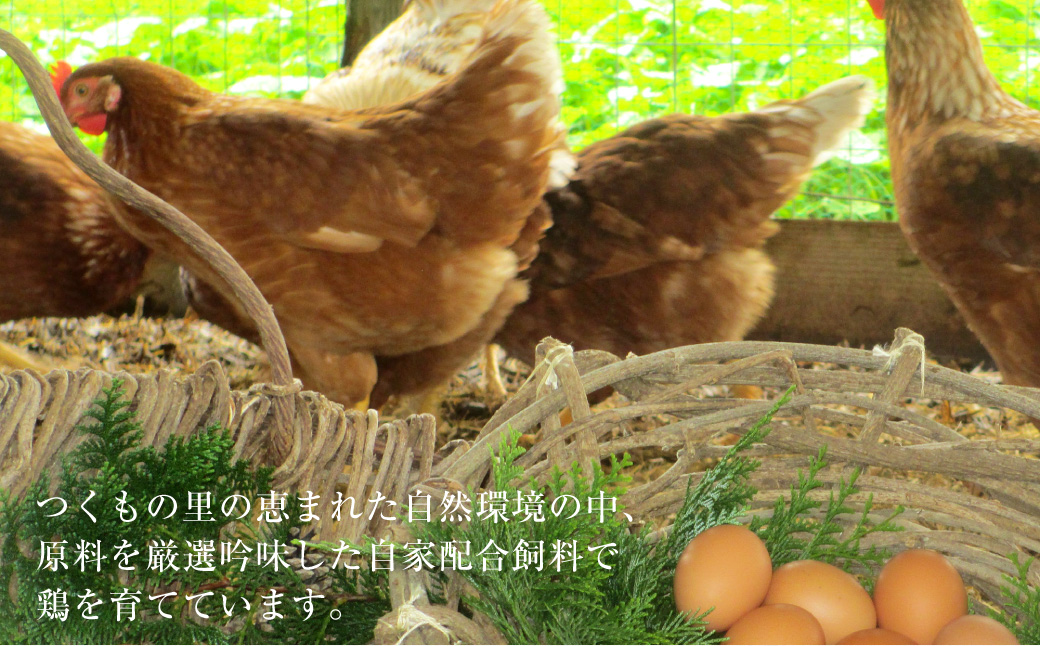 「長崎彩黄卵」 朝採れ玉子 30個入り