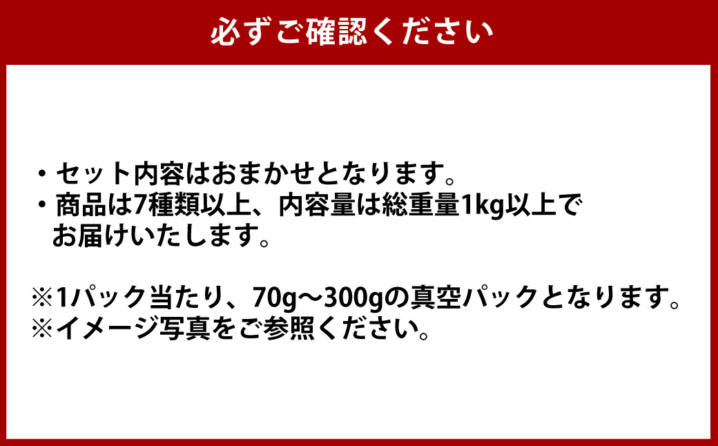 すえひろブロック 100g×5個セット