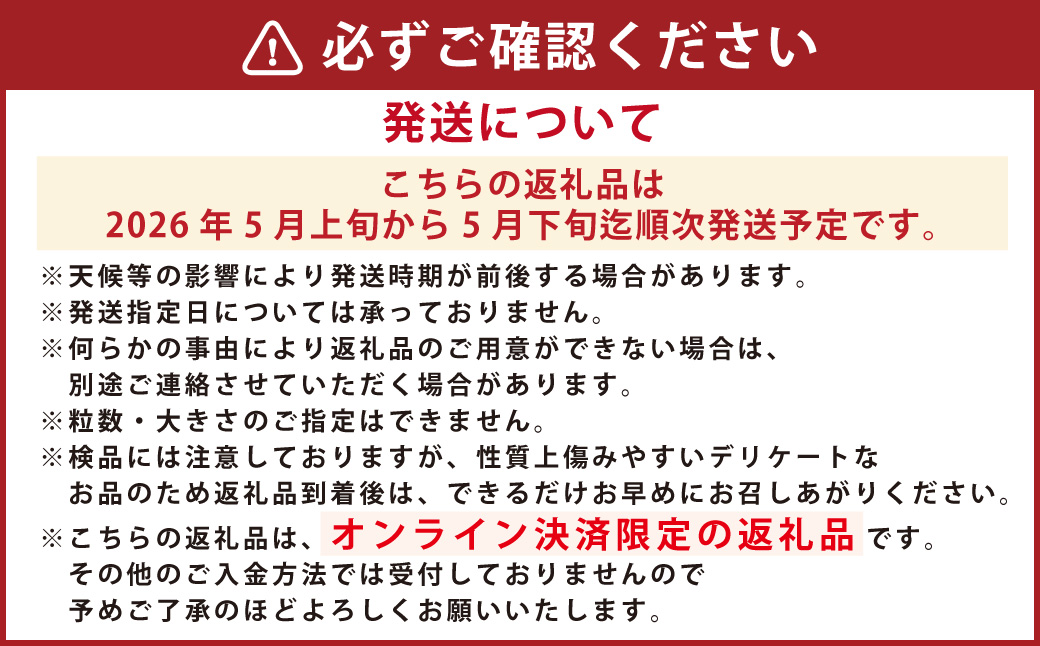 枇杷「なつたより」1kg ／ 果物 くだもの フルーツ ビワ びわ 長崎県 長崎市