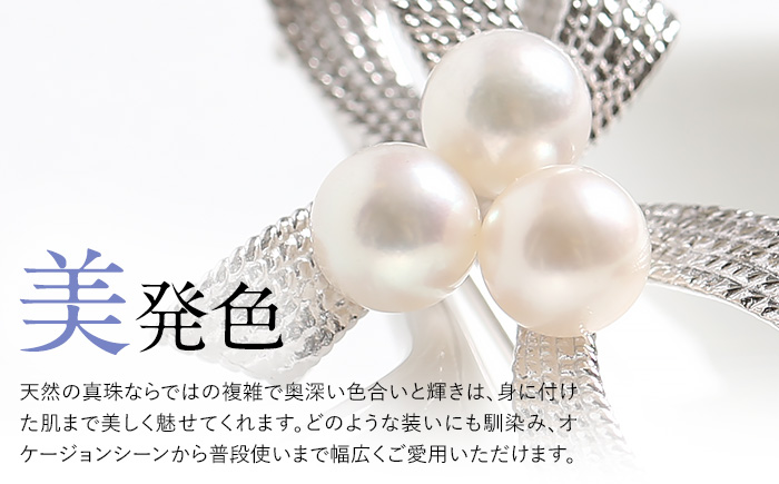 あこや真珠 6.5～7.0mm ブローチ シルバー SV リボン パール