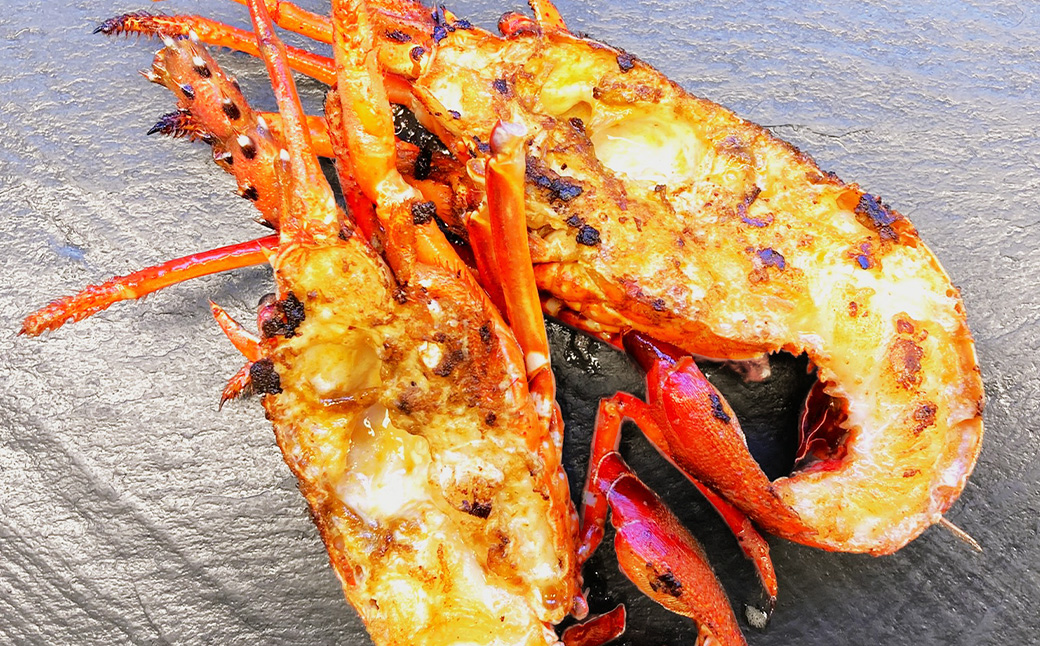 長崎県産 のどぐろ・伊勢海老・赤甘鯛 高級魚介類 セット