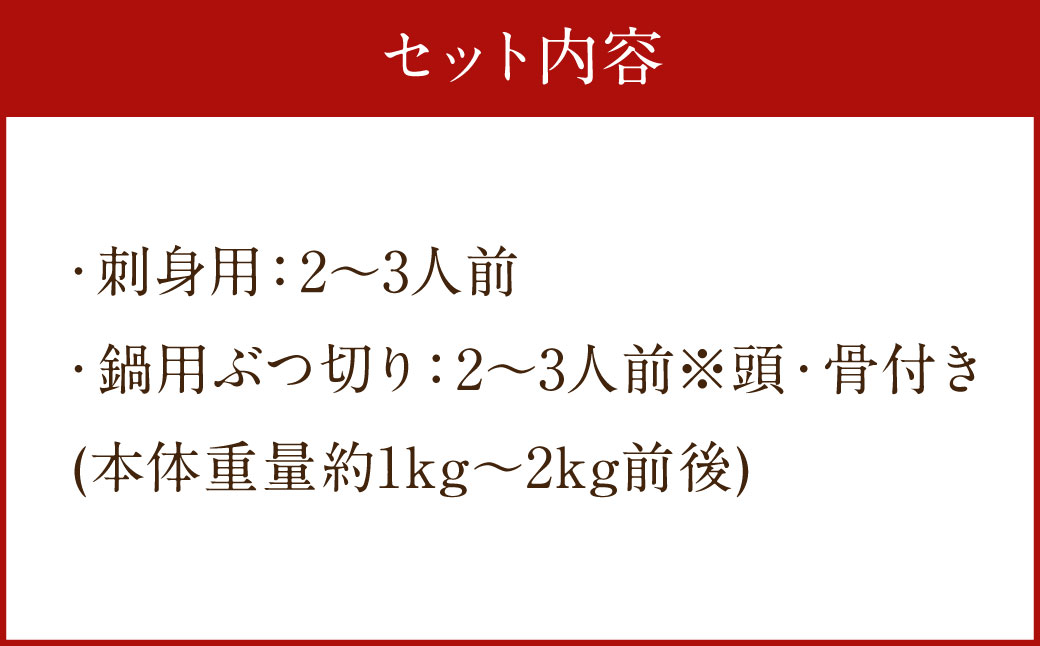 長崎の森で育てた『幻のクエ』【ハーフセット】