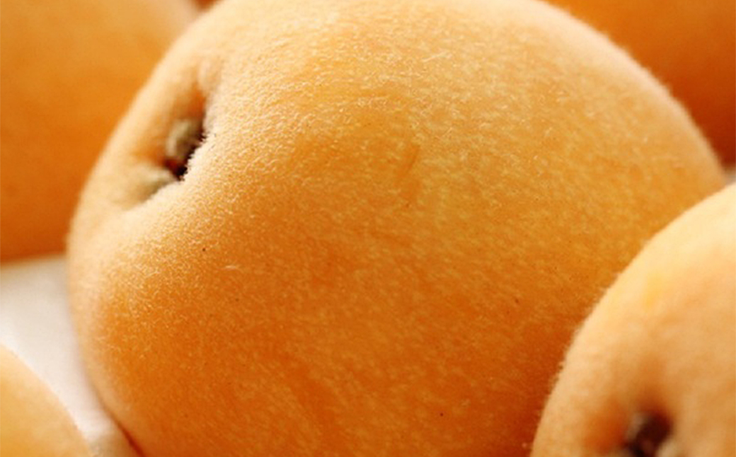 長崎びわ なつたより 赤秀 計約500g