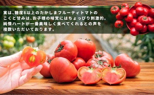 糖度7度以上 たかしまフルーティトマト 純情ハート 約1kg