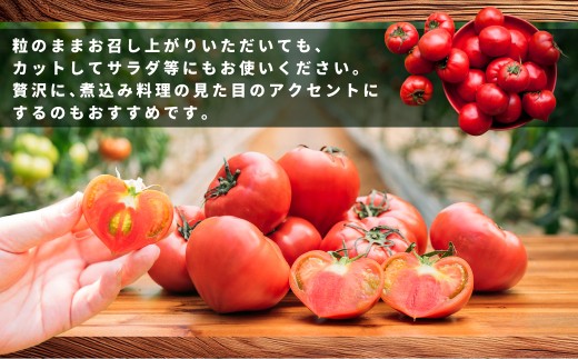 糖度9度以上 たかしまフルーティトマト 五月の初恋 約600g
