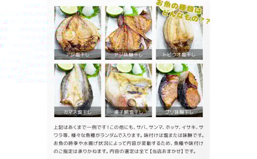 【全6回定期便】長崎加工 訳ありおまかせ干物とカラスミ詰め合わせ