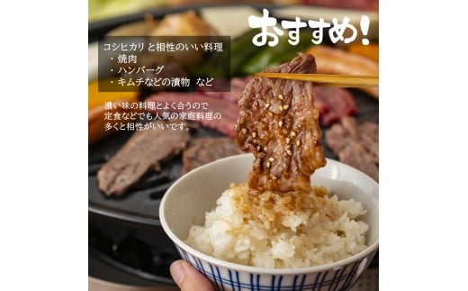 【令和7年産】無洗米 長崎 こしひかり 900g