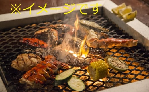 キャンプ&BBQ 焼くだけセット 計1.5kg (250g×2袋×3種)