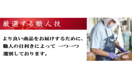 すえひろスライス 100g×5個セット