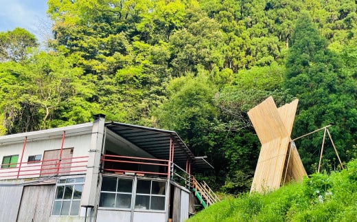 長崎の森で育てた『幻のクエ』昆布〆 刺身用  5～6人前 (1kg～2kg前後) ／ 魚 海鮮 魚介類 高級魚 クエ 刺身 刺し身 頭付き 長崎県 長崎市