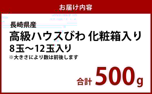 長崎 高級 ハウス びわ 化粧箱入り 500g 枇杷 ギフト 贈答用 果物 フルーツ くだもの 【2026年4月上旬から下旬発送予定】