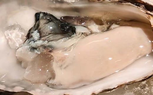 龍の泪 (ゆうこう) 180ml 5本セット