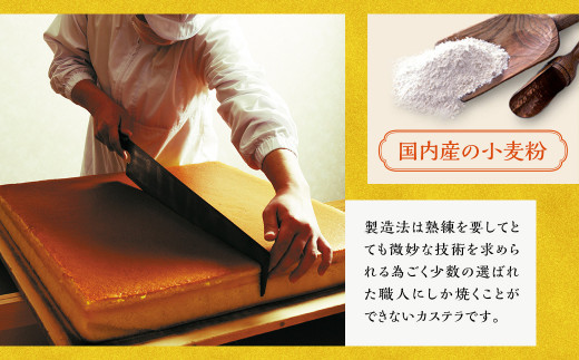 【全12回定期便】特撰カステラ1号