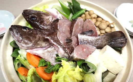 長崎の森で育てた『幻のクエ』【ハーフセット】