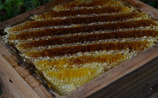 日本蜜蜂百花蜜 はちみつ・ 石けん (100g×1個) セット