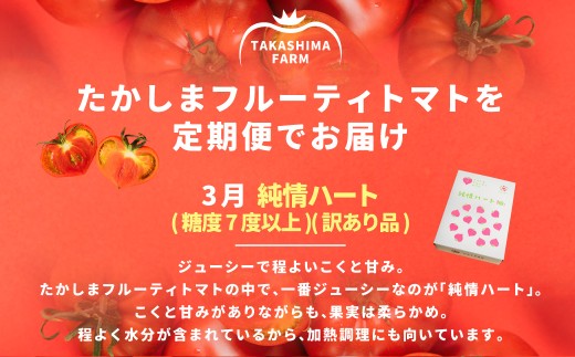 【訳あり】【年3回定期便 たかしまフルーティトマトの大箱コース