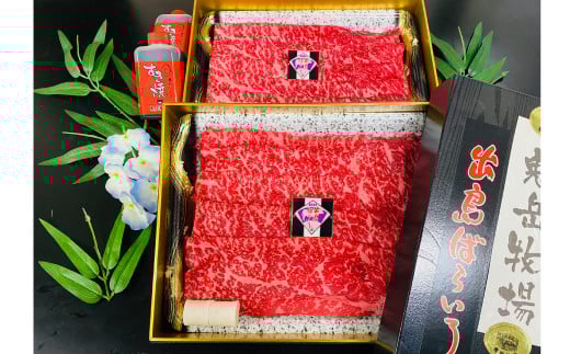 【全2回定期便】長崎和牛 出島ばらいろ レギュラータイプ M