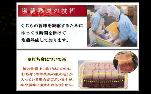 ミンク鯨 ベーコン ブロック 特大セット 計約500g