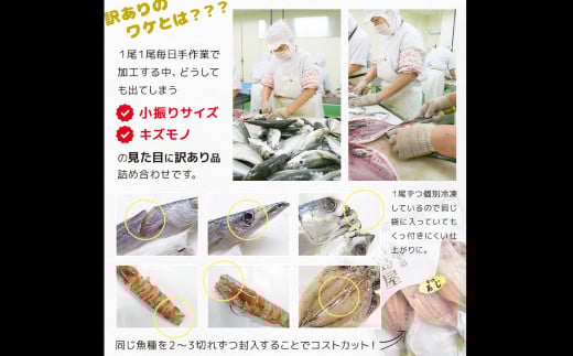 訳ありおまかせ干物 4種類 (12枚) とカラスミ詰め合わせ