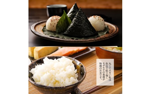 【令和7年産】無洗米 長崎 にこまる 900g