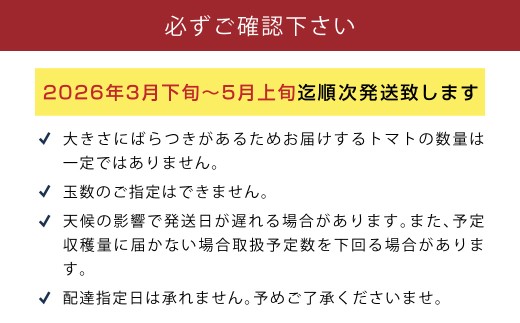 【数量限定 先行予約】たかしまフルーティトマト 「情熱ハート」 1kg箱×1