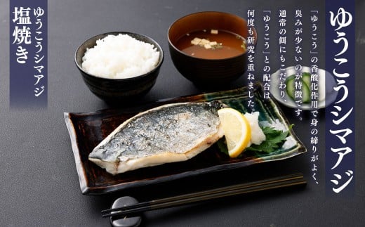 【premiumfishbrand】ゆうこうシマアジ（活〆）×1尾（約1）