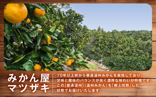 【樹上完熟】長崎みかん（普通温州）約3kg