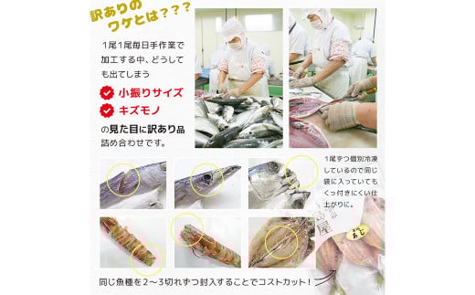 【全12回定期便】長崎加工 訳ありおまかせ干物 4種類とカラスミ詰め合わせ