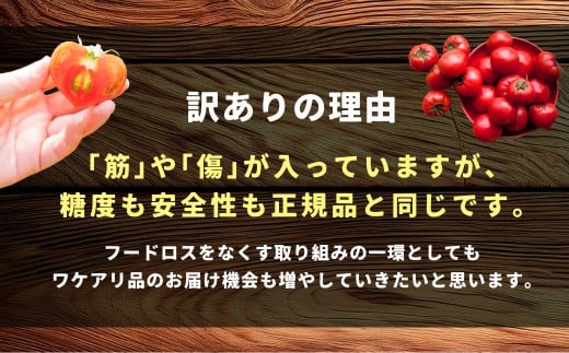 訳あり 糖度6度以上 かもめのトマト約3kg箱