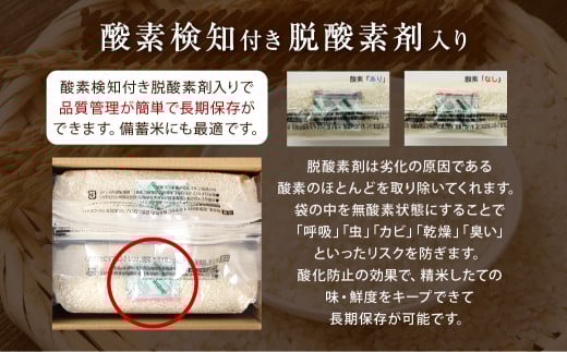 無洗米 長崎 にこまる 計10kg