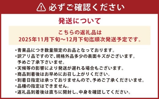 長崎県産 訳あり 伊木力系温州みかん10kg