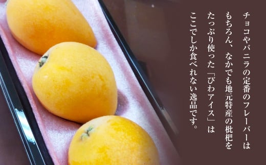 手作りアイス 8個セット