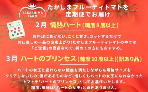 【年4回定期便】たかしまフルーティトマトの贅沢コース