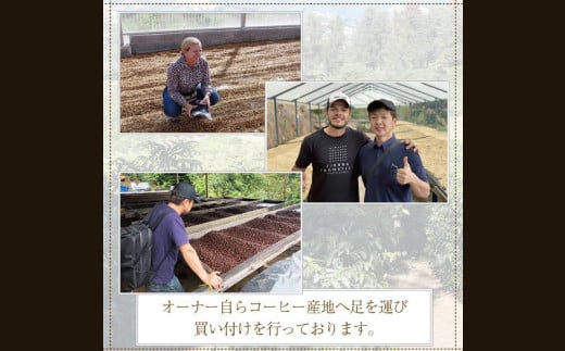 カフェオレベース＆テトラ セット