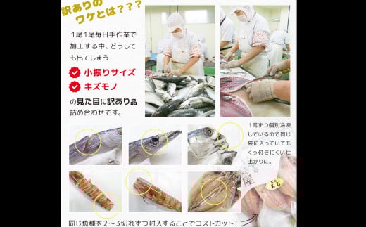 【全3回定期便】長崎加工 訳ありおまかせ干物とカラスミ詰め合わせ