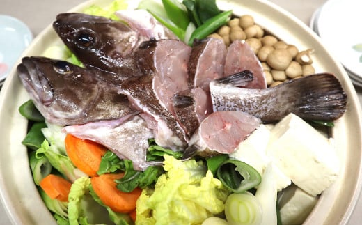 長崎の森で育てた『幻のクエ』 【セット】昆布〆 刺身用 5～6人前、鍋用 5～6人前 (1kg～2kg前後×2) ／ 海鮮 魚介 高級魚 刺身 刺し身 鍋 お鍋 セット クエ 養殖 長崎県 長崎市