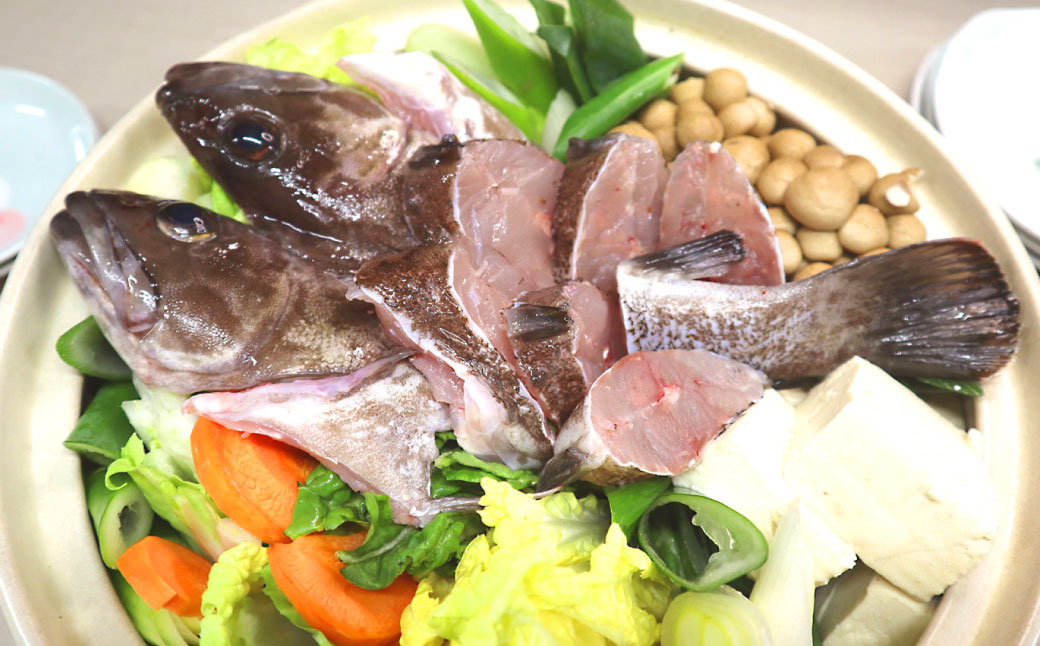 長崎の森で育てた『幻のクエ』【ハーフセット】