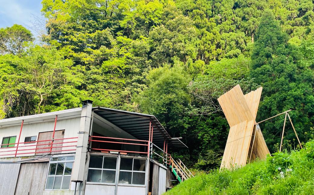 長崎の森で育てた『幻のクエ』 刺身用 5～6人前（1kg～2kg前後）／ 海鮮 魚介 刺身 クエ 鍋 高級魚 長崎県 長崎市